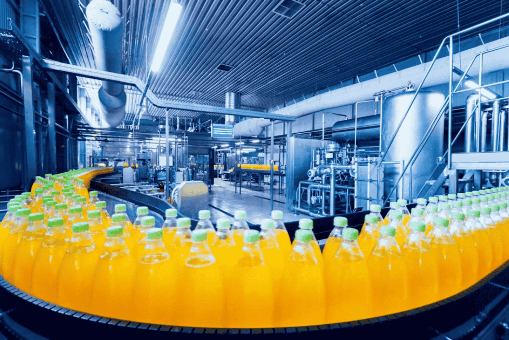 Food & Beverage Industry