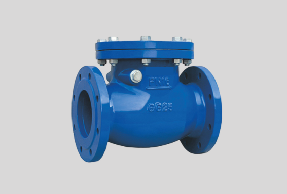 Check Valve